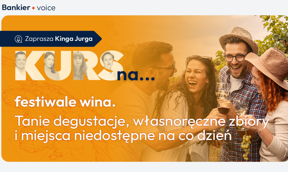 Kurs na festiwale wina. Tanie degustacje, własnoręczne zbiory i miejsca niedostępne na co dzień