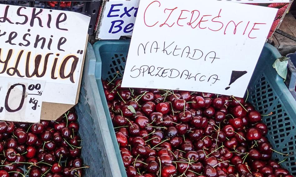 200 zł za kilo czereśni. W tym roku to już nieaktualne