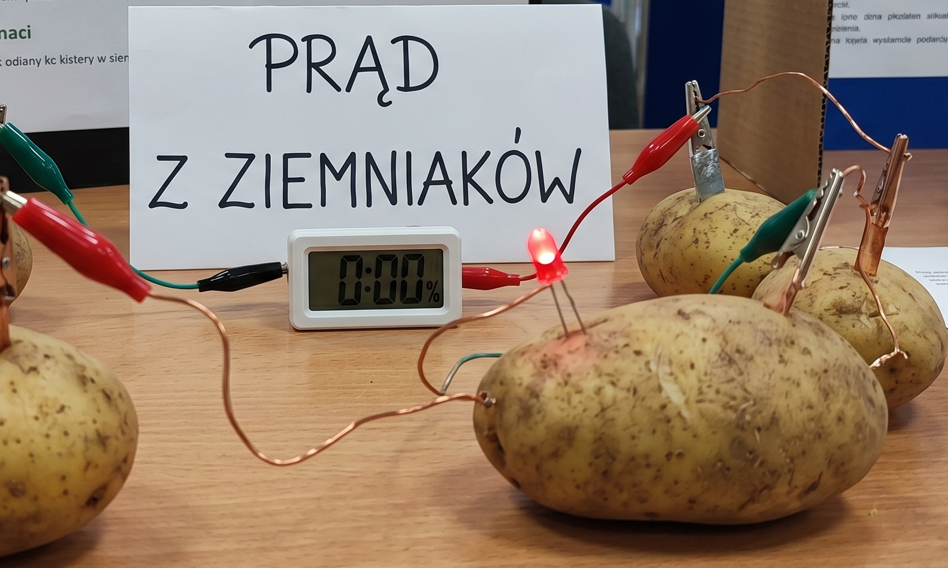 Ziemniaki z Niemiec niszczą polski rynek. Ministerstwo Rolnictwa: Zróbmy z nich prąd