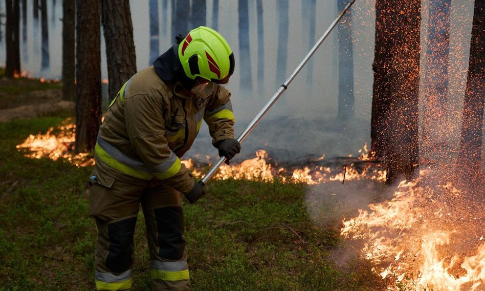 Puszcza Solska w ogniu. Ponad 460 strażaków w akcji, tragiczny bilans w tle