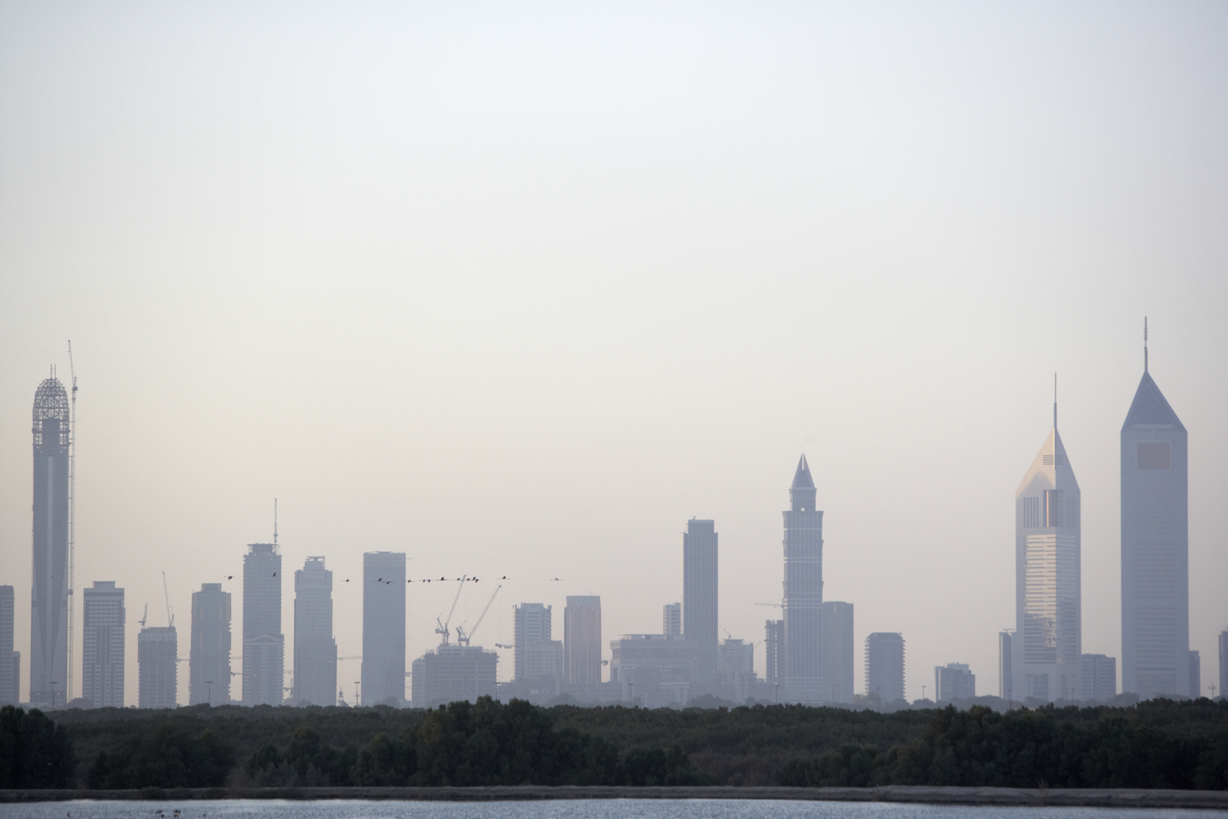 Mena 13th forex show dubai