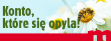 Brak op�at za otwarcie i prowadzenie konta od ponad 10 lat. Sprawd� Sam!