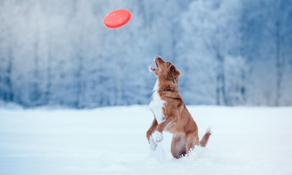 Najlepsze lokaty na koniec roku. Wciąż złapiesz 7%, choć lista ofert jest krótka