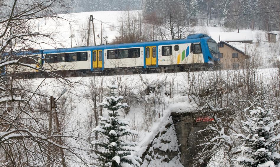 Koniec z drzewami na torach. Rząd wraca do 15-metrowego pasa wycinki