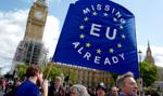 May chce dwuletniego okresu przejściowego po brexicie