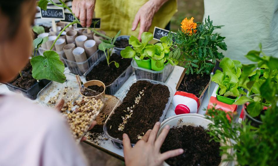 Naturalis zakończyło projekt ARISE. Skatalagowane gatunki będzie monitorowała AI