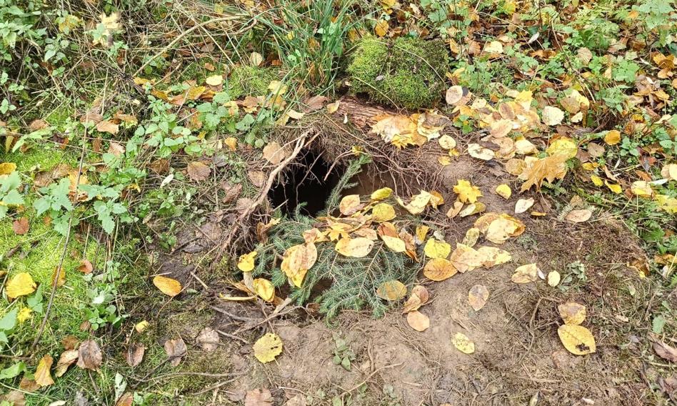 Podkop na granicy polsko-białoruskiej. Szef MSWiA: Tunel miał 30 m długości