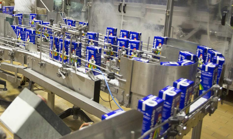 Branża mleczarska się konsoliduje. Na rynku z roku na rok jest coraz mniej podmiotów