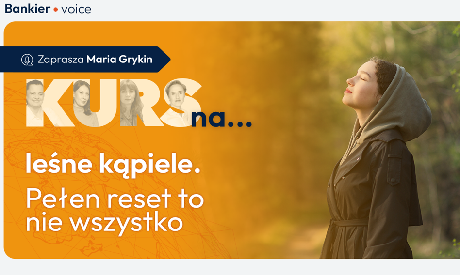 Kurs na leśne kąpiele – terapia na stres i wypalenie
