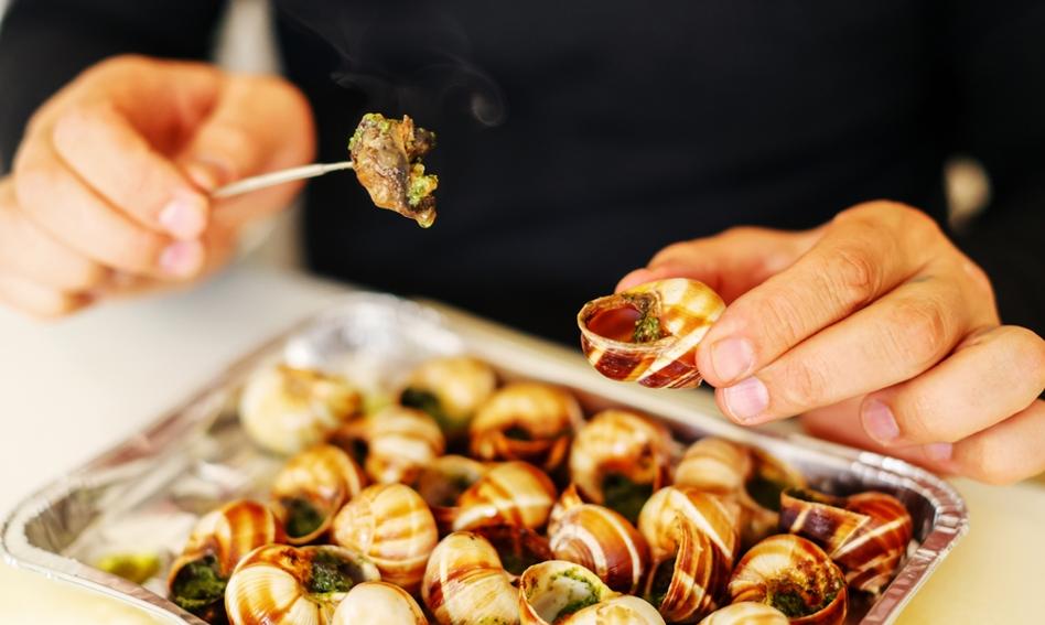 Ślimacza kradzież stulecia. Zniknęły mięczaki warte ponad 380 tys. zł