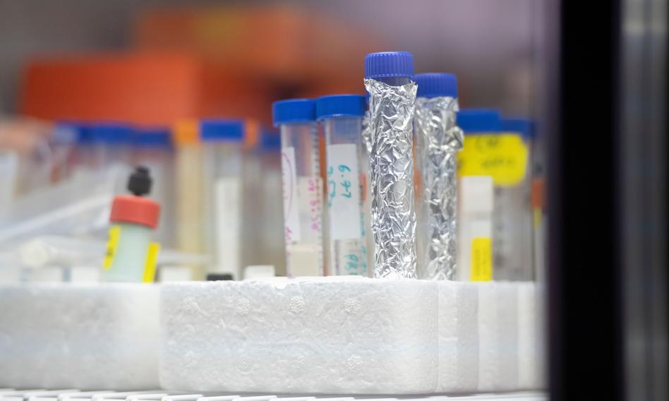 GUS: rośnie liczba firm działających w biotech i nanotech