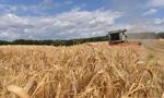           PiS przedstawi nowe propozycje dla rolników