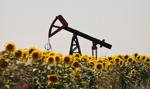 Ropa na niewielkim minusie, rynek czeka na wyniki spotkania OPEC i Rosji
