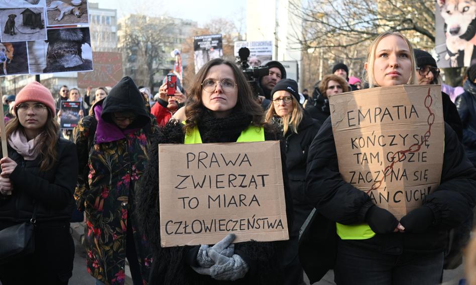 "Weto do kosza". Manifestacje przed Sejmem