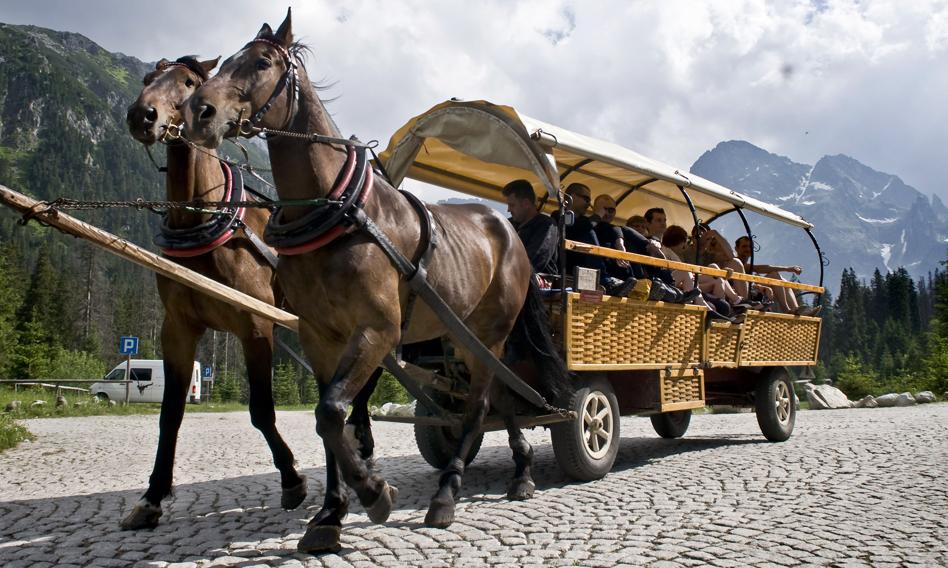 Fiakrzy zamówili badania koni z Morskiego Oka. Pojazd dociążony jest 1650 kg