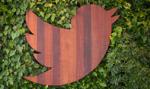 Google kupi Twittera? Akcje w górę