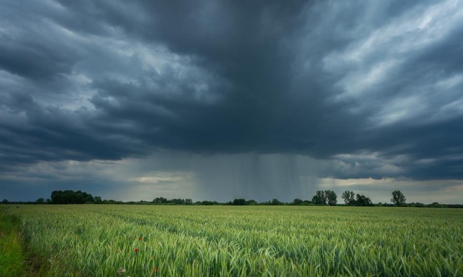 Front burzowy w Polsce. 600 interwencji straży na Podkarpaciu