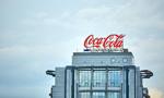 Giganci spożywczy oszukują na plastiku? Greenwashing trwa w najlepsze