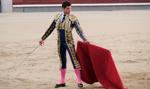 Hiszpańska prawica chce wpisu walk byków na listę UNESCO