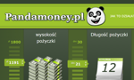 Pożyczka w Pandamoney – jakie warunki?