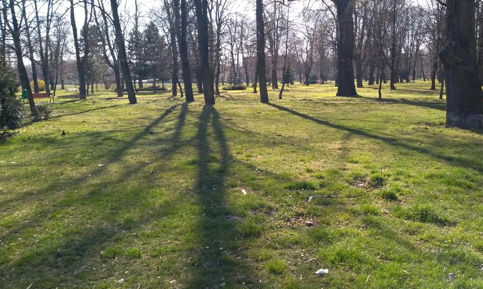 Polacy niechętni płaceniu za ochronę przyrody