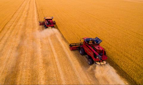 Polskie rolnictwo z silną pozycją. Eksport towarów wzrósł o 7,3 proc. rdr do 37,7 mld euro