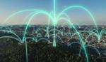 Polacy spędzą w internecie ponad 26 lat życia. Nowe dane NordVPN