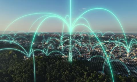 Polacy spędzą w internecie ponad 26 lat życia. Nowe dane NordVPN