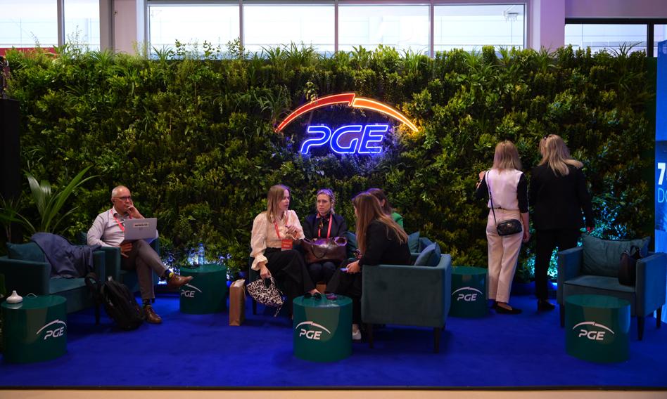 Kurs PGE rośnie o 8,5 proc. Dino jedyną spadkową spółką w WIG20, spada o 3 proc.