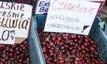 200 zł za kilo czereśni. W tym roku to już nieaktualne