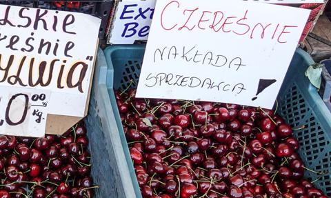 200 zł za kilo czereśni. W tym roku to już nieaktualne