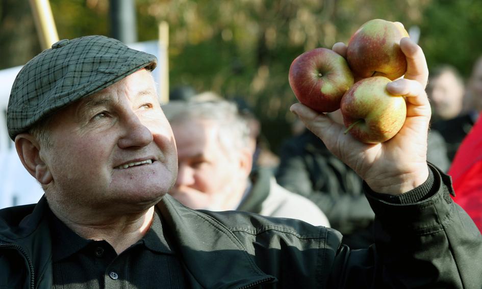 Zielone miasteczko rozwiązane