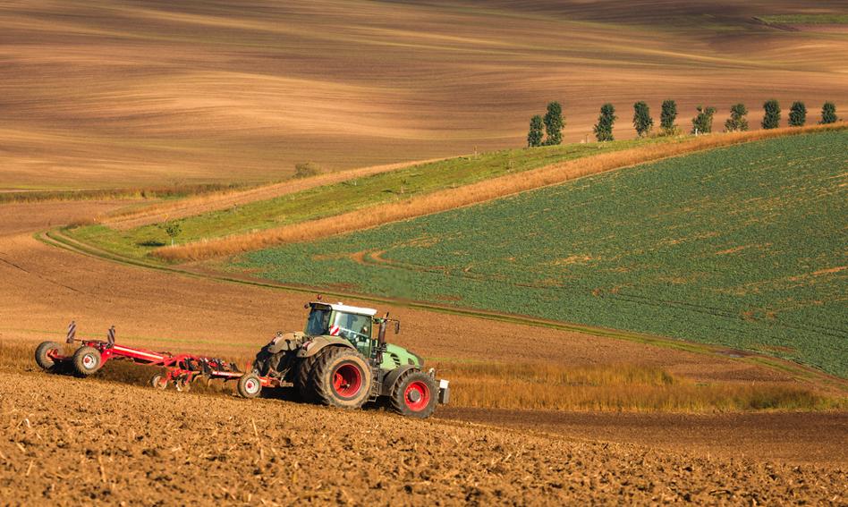 KOWR: tegoroczne plony zbóż mogą być wyższe, niż w 2021 r.