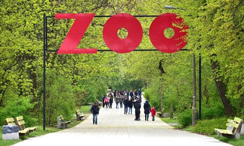 Zoo nie trzyma zwierząt ani dla przyjemności, ani pieniędzy. "Niewola to zło i konieczność"