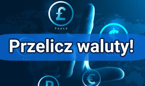 Przelicznik walut | Kalkulator walut online