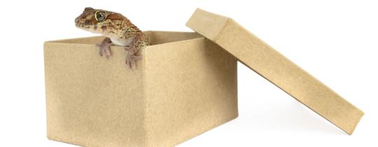 nie ta przesyłka co trzeba