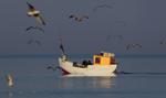 Rybołówstwo kością niezgody w rozmowach Wielkiej Brytanii z UE