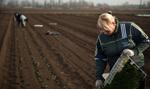 Polscy rolnicy nie zgadzają się na dwustronne rozmowy z Rosją na temat embarga