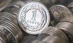 Cognor chce przeprowadzić SPO do 67,3 mln akcji i pozyskać 101 mln zł
