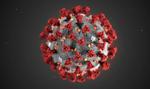 W USA opracowano szybki i niedrogi test wykrywający koronawirusa