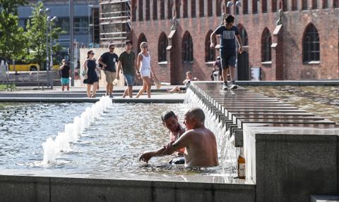 Niemcy podsumowują ekstremalne lato. Rekordowe upały, susza i niski poziom Renu