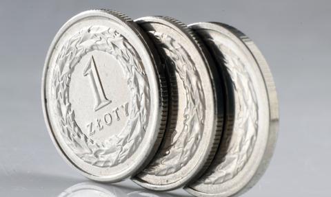 Członek RPP o stopach procentowych. „Nie widzę potrzeby podwyżek”