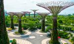 Tam mieszkam: Singapur
