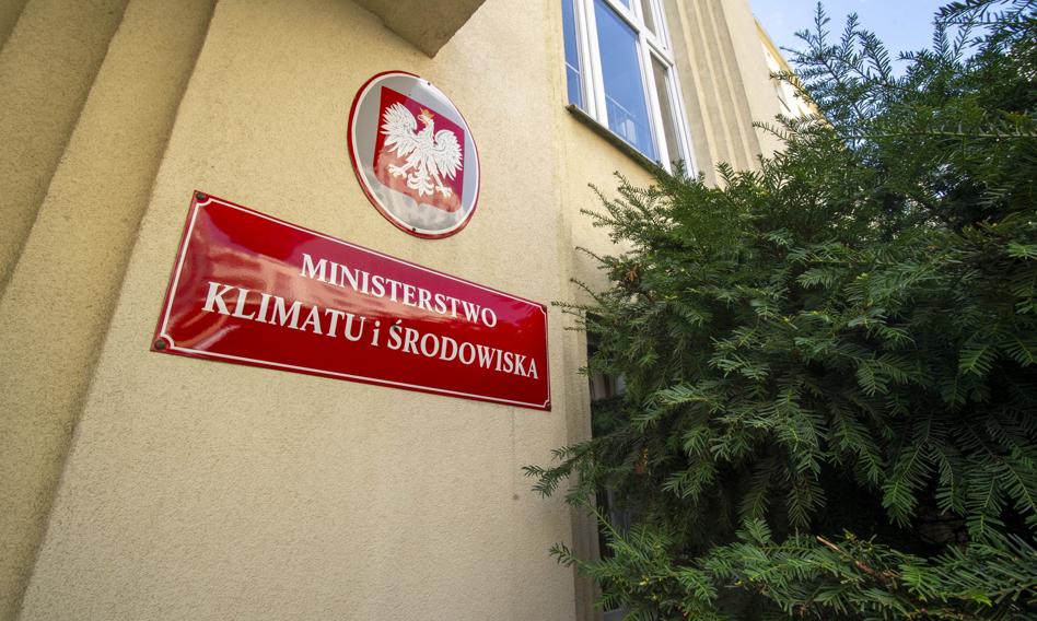 Polskie wilki bezpieczne? Ministerstwo stawia sprawę jasno