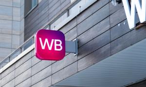 Majątek właścicielki Wildberries mocno w dół. Straciła prawie 40 proc.