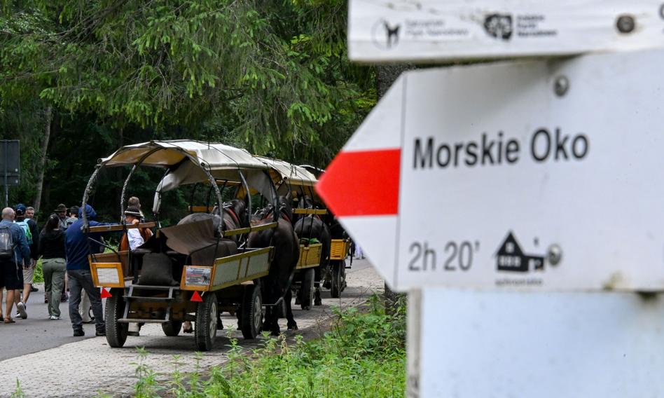 Nowy system transportu do Morskiego Oka. Konie tylko na części trasy