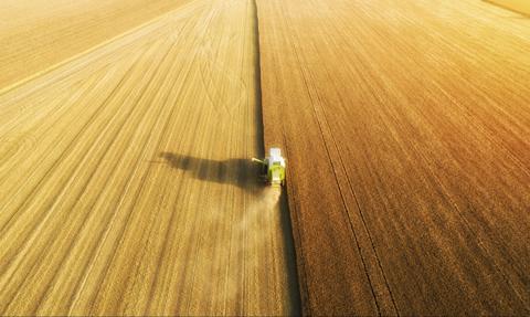 Rolnicy czekają ze sprzedażą zbóż wszelkiego typu