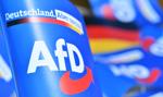 Kolejny cios w AfD. Brandenburgia uznała partię za organizację ekstremistyczną