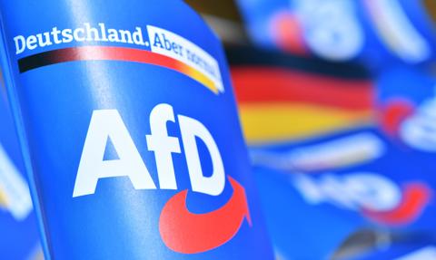 Kolejny cios w AfD. Brandenburgia uznała partię za organizację ekstremistyczną