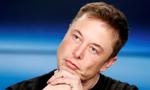 Musk chce zasadzić las. Bitwa o drzewa?